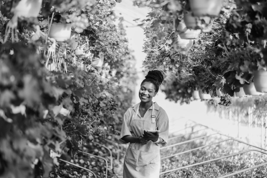 construire un site écoresponsable